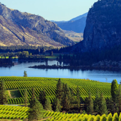 Okanagan Wine Tour